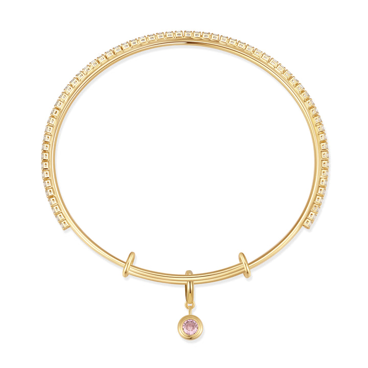 CZ Tennis Birthstone Charm Bangle